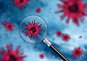 Wirus SARS-CoV-2 a aktualizacja oceny ryzyka